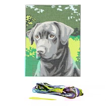 Kit complet canevas 15 x 20 cm motif chien labrador
