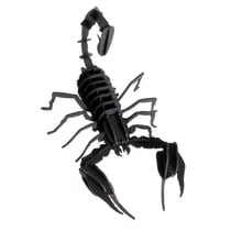 Maquette 3D en papier Scorpion - Fridolin