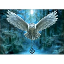 Puzzle chouette : réveille ta magie 500 pièces - collection fantastique - educa - 17959