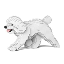 Chien Caniche Nain qui marche blanc Taille standard | JEKCA | 14 ans et +