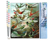 Peinture par Numéro Figured'Art - Tous les oiseaux - Kit de Loisir Créatif DIY Numéro d'Art Complet - 40x50cm sans châssis en bois
