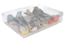 10 oiseaux couleurs - pince crocodile - Artemio