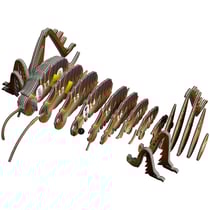 Eugy 3D Modèle: ANIMAL SAUVAGE / SAUTERELLE 14x8x5,3cm, en carton, en boîte, 6+