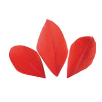 50 plumes coupées - Rouge 6 cm