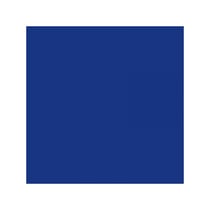 Marqueur Permanent - Marking Onyx 1591 Pointe biseau - Bleu - Bic