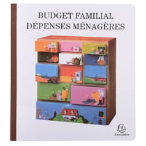Piqûre de comptabilité et organisation familiale 27x25cm - Budget dépenses ménagères 56 pages - x 5 - Exacompta