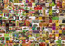Puzzle 1500 pièces - Collage - Couleurs dans la Cuisine - Grafika