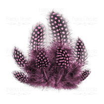 Plumes embelissement décoration scrapbooking Fabrika Décoru ROSE 040