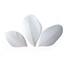 SACHET 3 Gr PLUMES COUPEES BLANC Ht.60