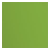 Papier cartonné texturé Florence - Frog - 20 feuilles - 30,5 x 30,5 cm - 216 g/m²