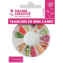 Graine Créative - Tranches de canes MINI MINI Fruit exotique