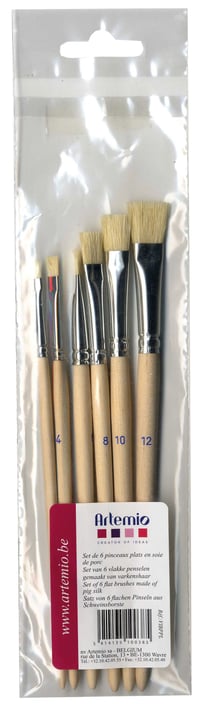 SET 6 PINCEAUX PLAT - SOIE DE PORC