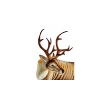 Hansa Peluche Geante Renne 95cmH 90cmL