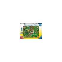 Puzzle éducatif Ravensburger 300 pièces Paresseux Jungle