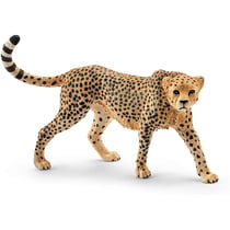 Wild Life - Guépard femelle