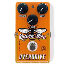 Caline® CP-503 Queen Bee Overdrive