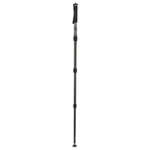 BENRO Monopode photo carbone Mach3 MMA38C