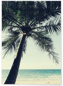 Poster Nature Palmier plage | A3 : 29,7x42cm