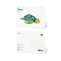 CARTE POSTALE TORTUE