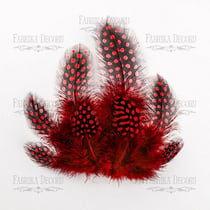 Plumes embelissement décoration scrapbooking Fabrika Décoru ROUGE 013