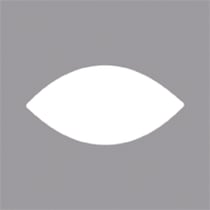 Perforatrice fantaisie: Ovale pointu, 5,08x2,54cm, 1 pce.
