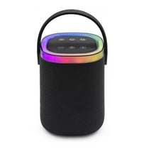 Enceinte Nomade Bluetooth Noir - Livoo TES268