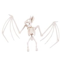 Squelette de chauve-souris