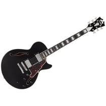 Premier SS Black Flake D'Angelico