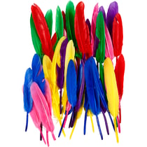 Plumes, L : 13 cm, ass. de couleurs, 48 pièces/ 1 Pq.