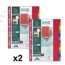 Lot de 2 intercalaires A4 - 12 Positions - Carte Lustrée 225G - Exacompta