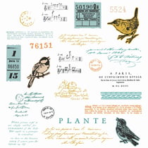 23 tampons transparents - Oiseaux - Avec 5 matrices de découpe Framelits - Sizzix