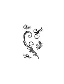 5 Tampons transparent arabesques