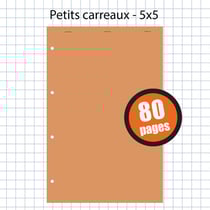 Bloc Notes 21X29,7Cm A4 Petits Carreaux