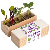 Resetea - Mini potager de légumes étranges