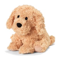 Peluche Bouillotte Chien bouclé