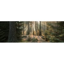 Tableau sur toile forêt enchantée 30x97 cm