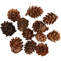 Pommes de pin décoratives - 20 à 30 mm - 12 pcs