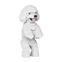 Chien Caniche Nain debout blanc Taille standard | JEKCA | 14 ans et +