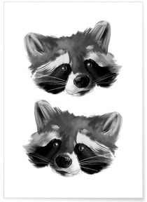 Affiche Racoon 2 | A3 : 29,7x42cm