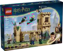 LEGO® 76447-1 - Le Château de Poudlard : Les Cours de Vol - LEGO Harry Potter
