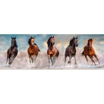 Puzzle panorama chevaux brun et noir qui courent 1000 pieces - collection animaux - clementoni - 39875