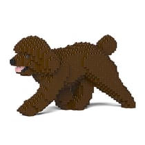 Chien Caniche Nain qui marche marron Taille standard | JEKCA | 14 ans et +
