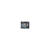 Figurine BANDAI pokemon - pack evolution carapuce - 3 figurines - tailles - mixte - 5 cm