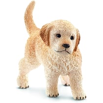 Chiot Golden Retriever