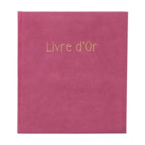 Livre d'or 140 pages tranche or Skandi - Vieux rose - Exacompta