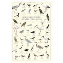 Longue vue editions - Oiseaux des plages, des mers et des marais - Affiche 40 x 60 cm