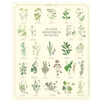 Longue vue editions - Plantes aromatiques de France - Affiche 24 x 30 cm