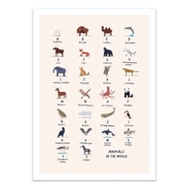 Affiche 50x70 cm - Animal Alphabet - Alex Foster
