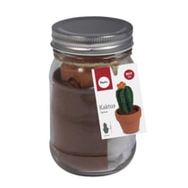 Kit: Cactus , 5cm 10cm, verre 1pce.