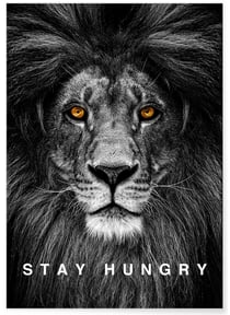 Affiche Motivation Stay Hungry | A3 : 29,7x42cm